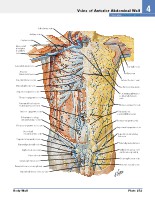 Frank H. Netter, MD - Atlas of Human Anatomy (6th ed ) 2014, page 288